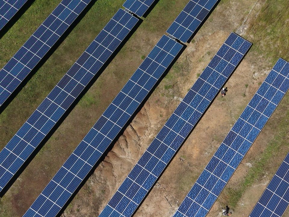 Aerial view of rows of solar panels